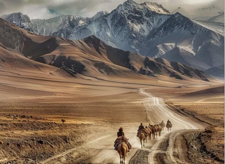 جاده ابریشم فرصت‌ جدیدی برای حفاظت از میراث تاریخی و افزایش تعاملات