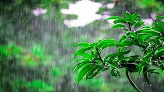 پیش بینی رگبار در شمال و وزش باد در شرق کشور