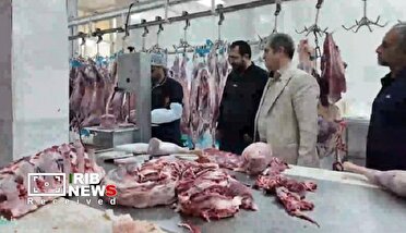 عرضه اقلام پروتئینی تنظیم بازار در کیش با نرخ مصوب