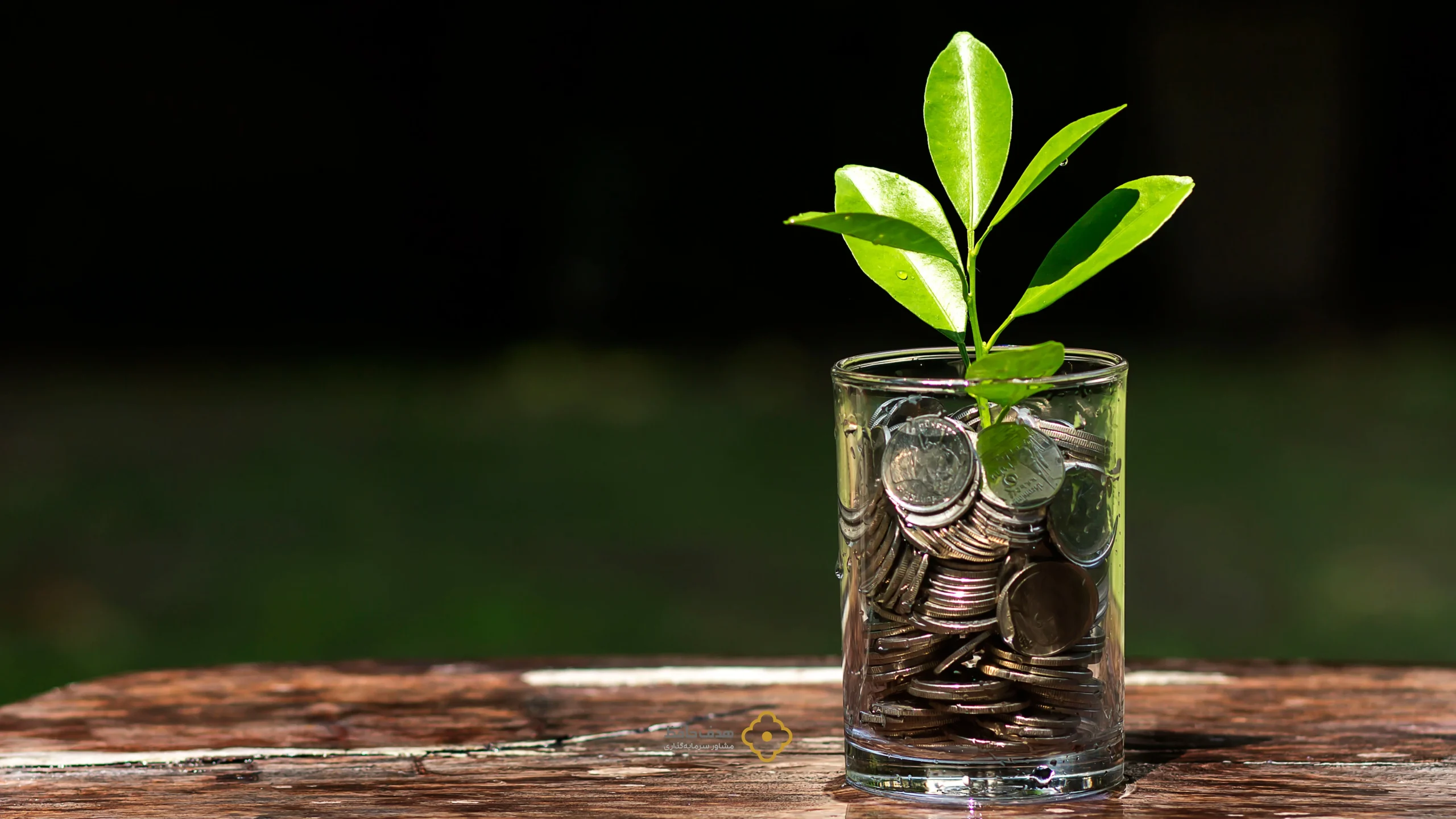 صندوق‌های سهامی در صدر جدول کسب بازده