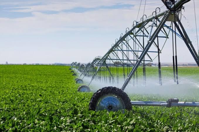ضرورت جایگزینی مشوق‌های اقتصادی به‌جای دستور در اجرای «الگوی کشت